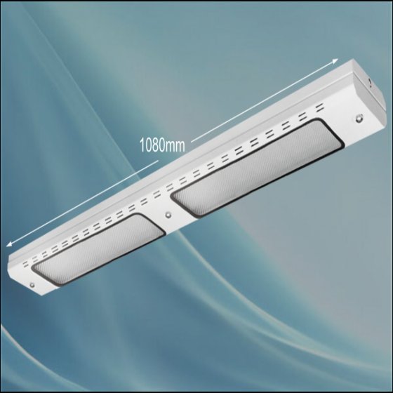 Jahanara 36*2 long electronic surface mounted lamp without bulb